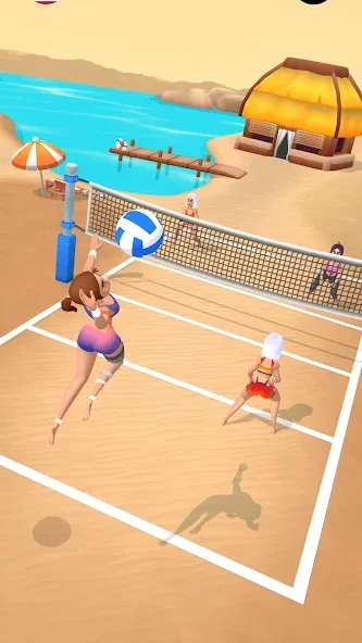 Beach Volleyball Game (Бичволлейбол игра)  [МОД Много монет] Screenshot 1