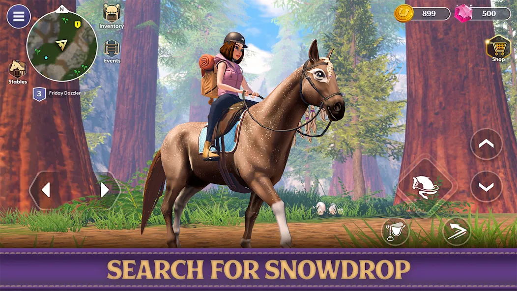 Star Equestrian - Horse Ranch (Стар Иквестриан)  [МОД Все открыто] Screenshot 3