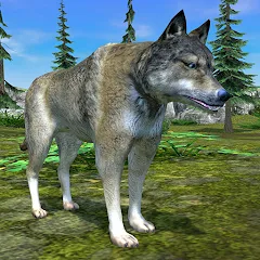 Скачать взломанную Wolf Simulator - Animal Games  [МОД Много денег] - полная версия apk на Андроид