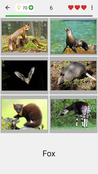 Animals Quiz Learn All Mammals  [МОД Много монет] Screenshot 2