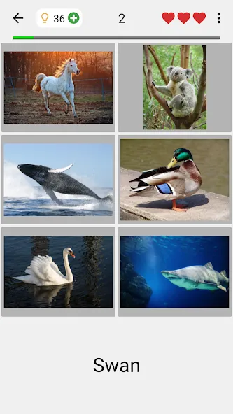 Guess Pictures and Words Quiz  [МОД Menu] Screenshot 2