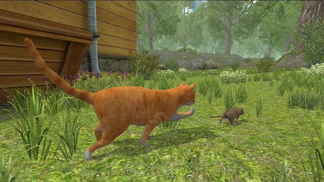 Mouse Simulator :  Forest Home  [МОД Все открыто] Screenshot 3