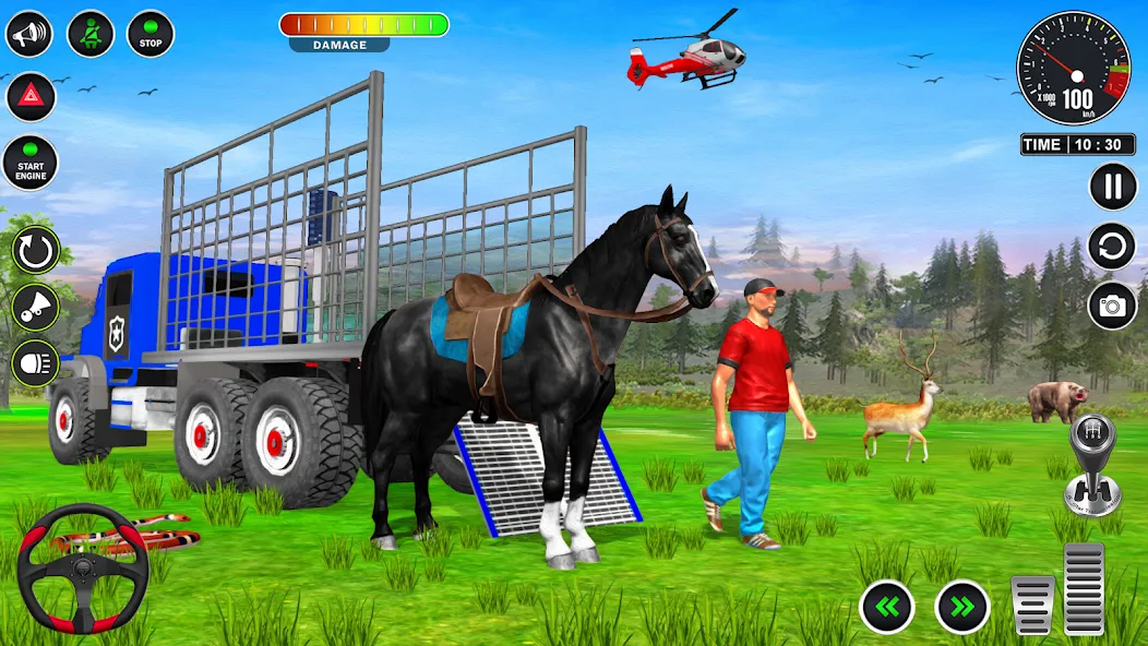 Animal Transport Truck Game 3D (Игра Грузовик для перевозки животных)  [МОД Все открыто] Screenshot 5