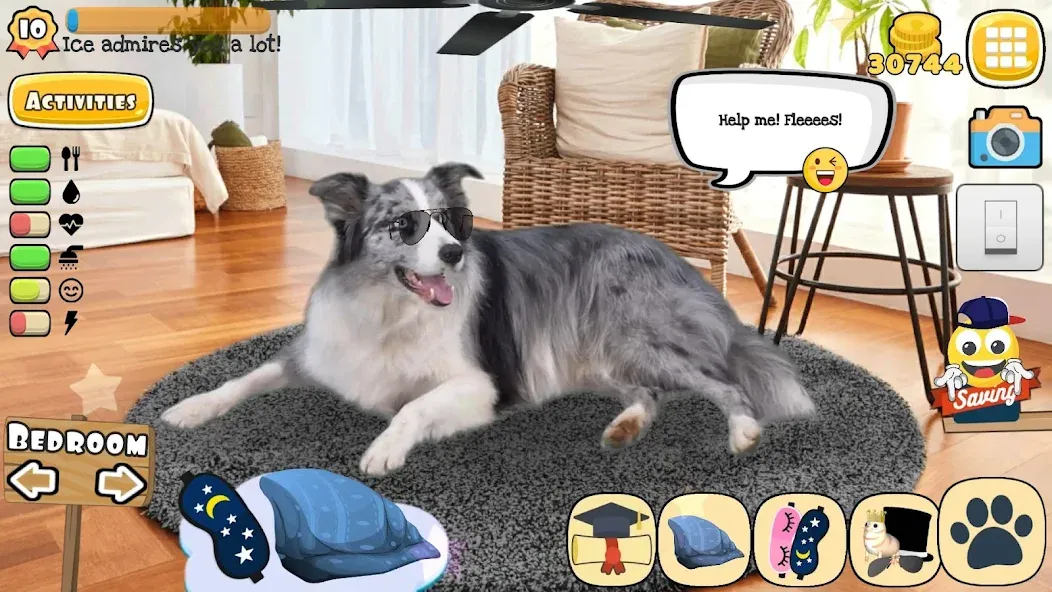 Adopt a pet : Corgi Games (Риал Петс бай Фруви)  [МОД Unlimited Money] Screenshot 5