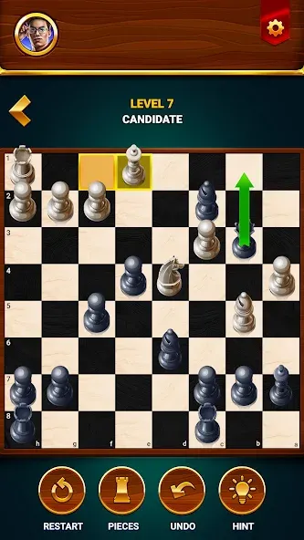 Chess - Offline Board Game  [МОД Все открыто] Screenshot 5