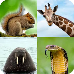 Взлом Animal Quiz: Guess the Animal  [МОД Много монет] - полная версия apk на Андроид