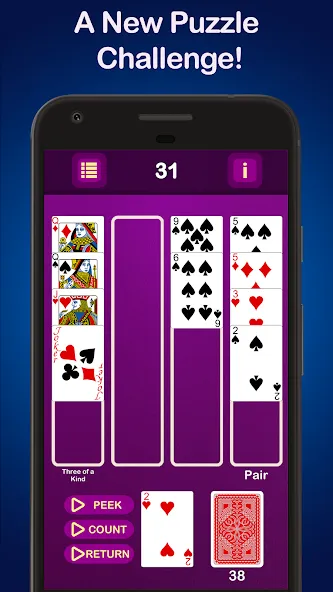 Puzzle Poker Joker's Wild  [МОД Бесконечные монеты] Screenshot 1