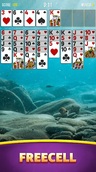 Solitaire Bliss Collection  [МОД Много монет] Screenshot 4