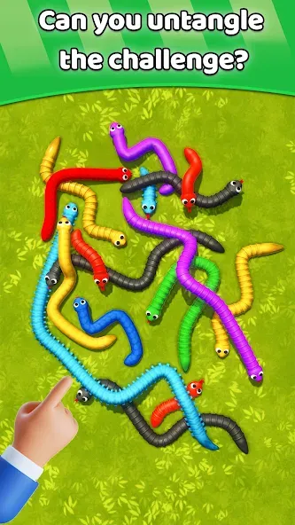 Tangled Snakes Puzzle Game (Танглед Снейк 3Д)  [МОД Unlimited Money] Screenshot 5