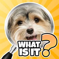 Взломанная What is it? Pics Trivia Quiz  [МОД Много денег] - стабильная версия apk на Андроид