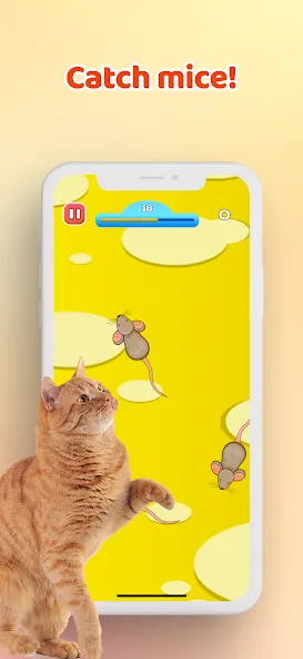 Games for Cat－Toy Mouse & Fish  [МОД Mega Pack] Screenshot 1