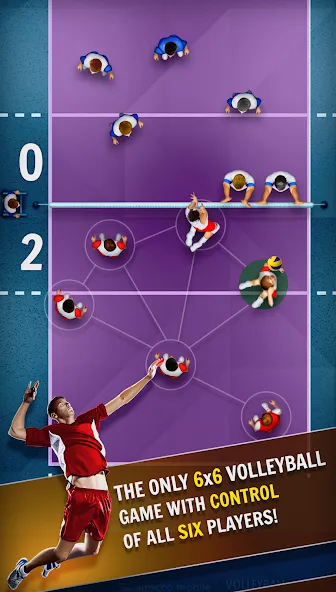 Volleyball Championship (Волейбольный чемпионат)  [МОД Много денег] Screenshot 4