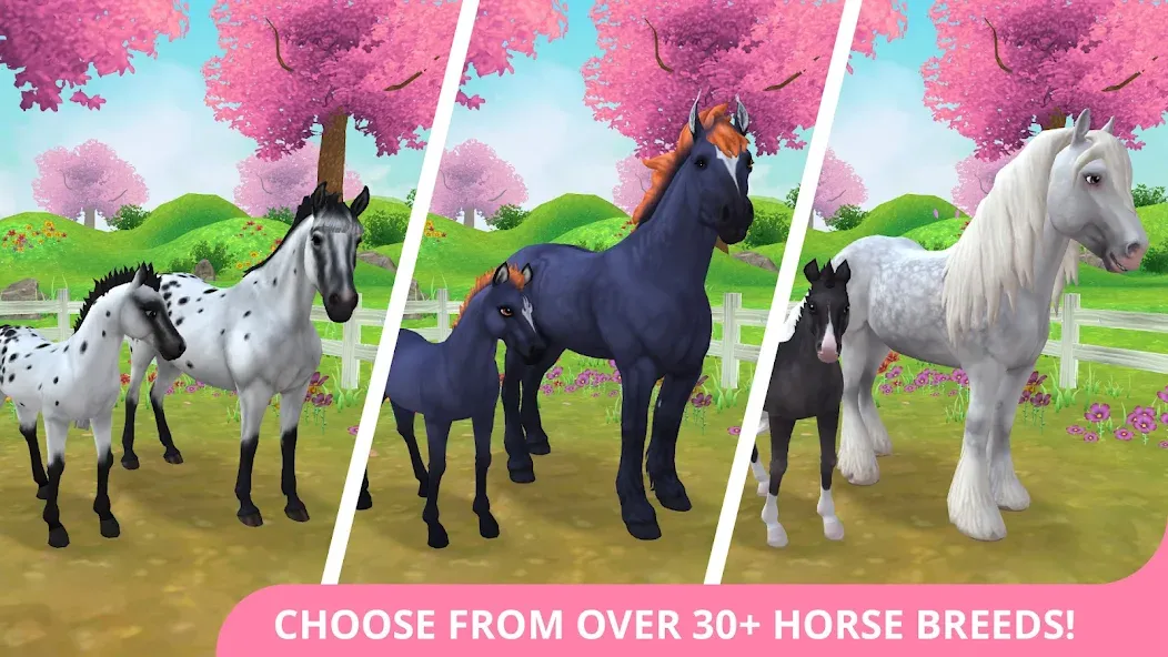 Star Stable Horses (СТар Стабл Хорсес)  [МОД Все открыто] Screenshot 1