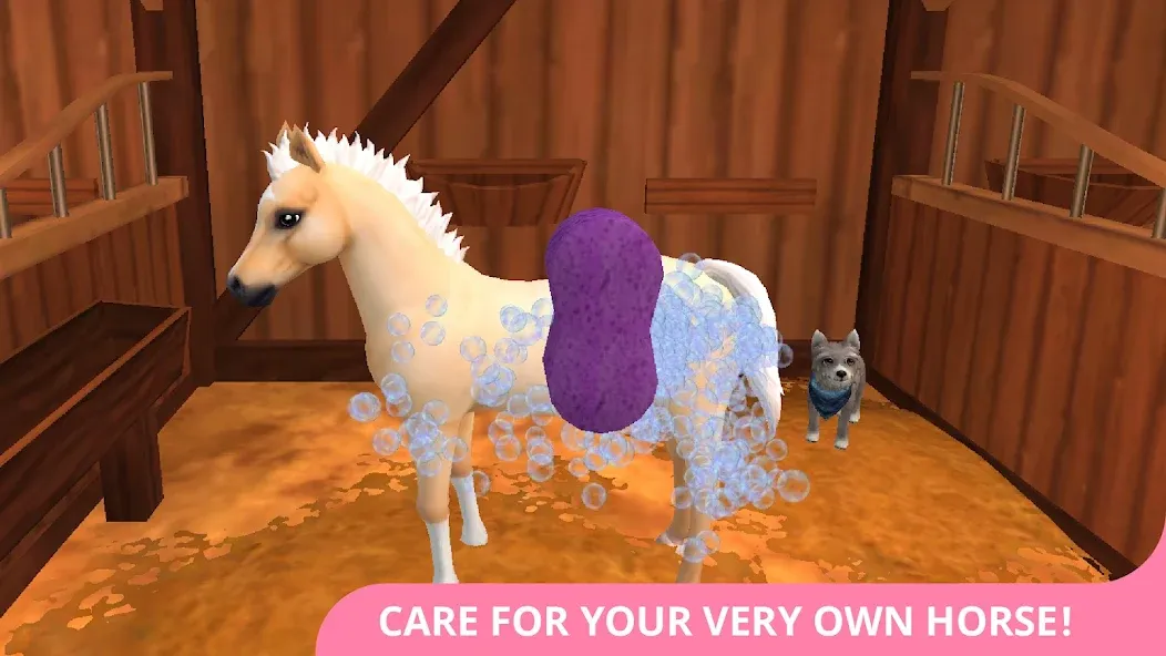 Star Stable Horses (СТар Стабл Хорсес)  [МОД Все открыто] Screenshot 2