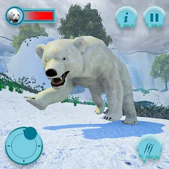 Взломанная Polar Bear Family Survival  [МОД Бесконечные деньги] - стабильная версия apk на Андроид