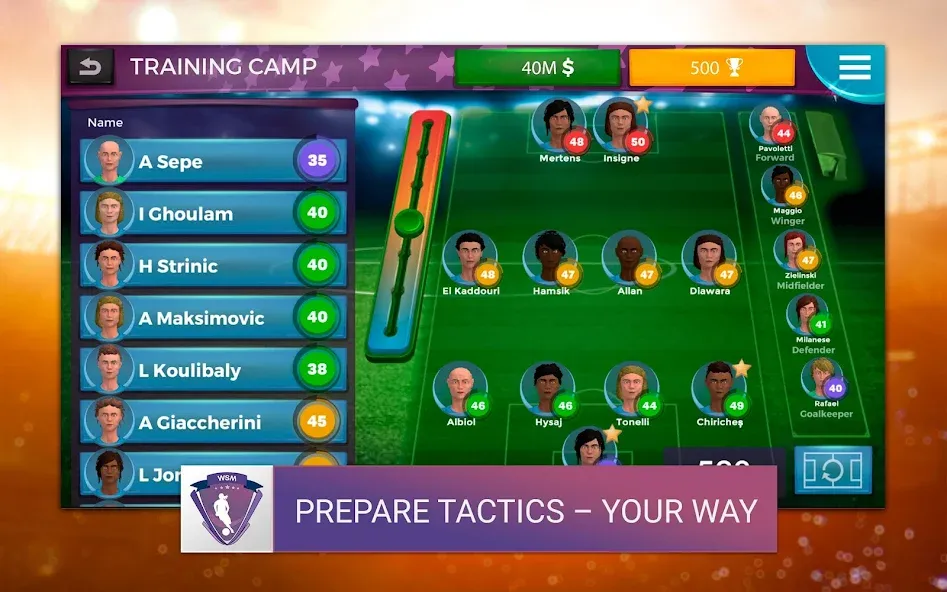 WSM - Women's Soccer Manager (ВСМ)  [МОД Меню] Screenshot 5