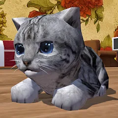 Взлом Cute Pocket Cat 3D (Сьют Покет Кэт 3Д)  [МОД Много монет] - стабильная версия apk на Андроид