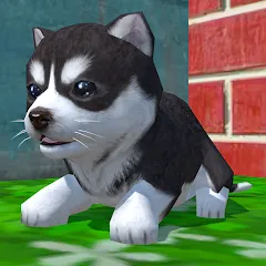 Скачать взлом Cute Pocket Puppy 3D (Сьют Покет Паппи 3Д)  [МОД Меню] - полная версия apk на Андроид