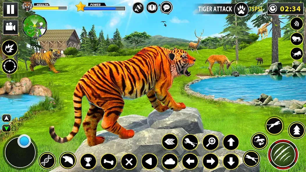 Tiger Simulator Lion games 3D (Тигровый Симулятор Игр Льва 3D)  [МОД Много монет] Screenshot 4