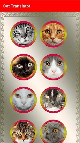 Translator for Cats Prank  [МОД Mega Pack] Screenshot 3