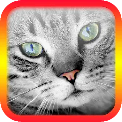 Взломанная Translator for Cats Prank  [МОД Mega Pack] - полная версия apk на Андроид