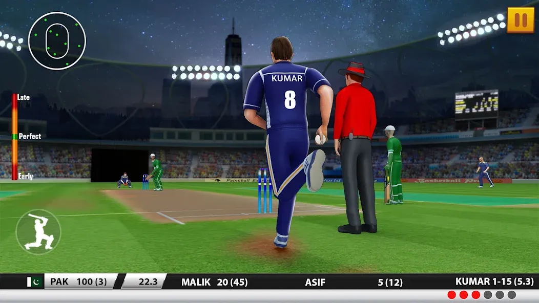 World Cricket Games :T20 Cup (Ворлд Крикет Геймс)  [МОД Unlocked] Screenshot 2