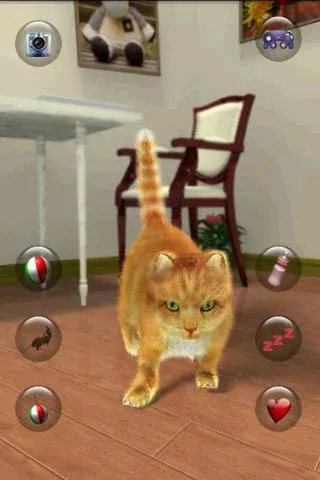 Talking Lovely Cat  [МОД Unlimited Money] Screenshot 1