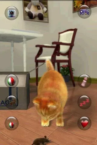 Talking Lovely Cat  [МОД Unlimited Money] Screenshot 3