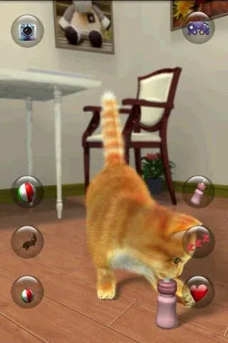 Talking Lovely Cat  [МОД Unlimited Money] Screenshot 5